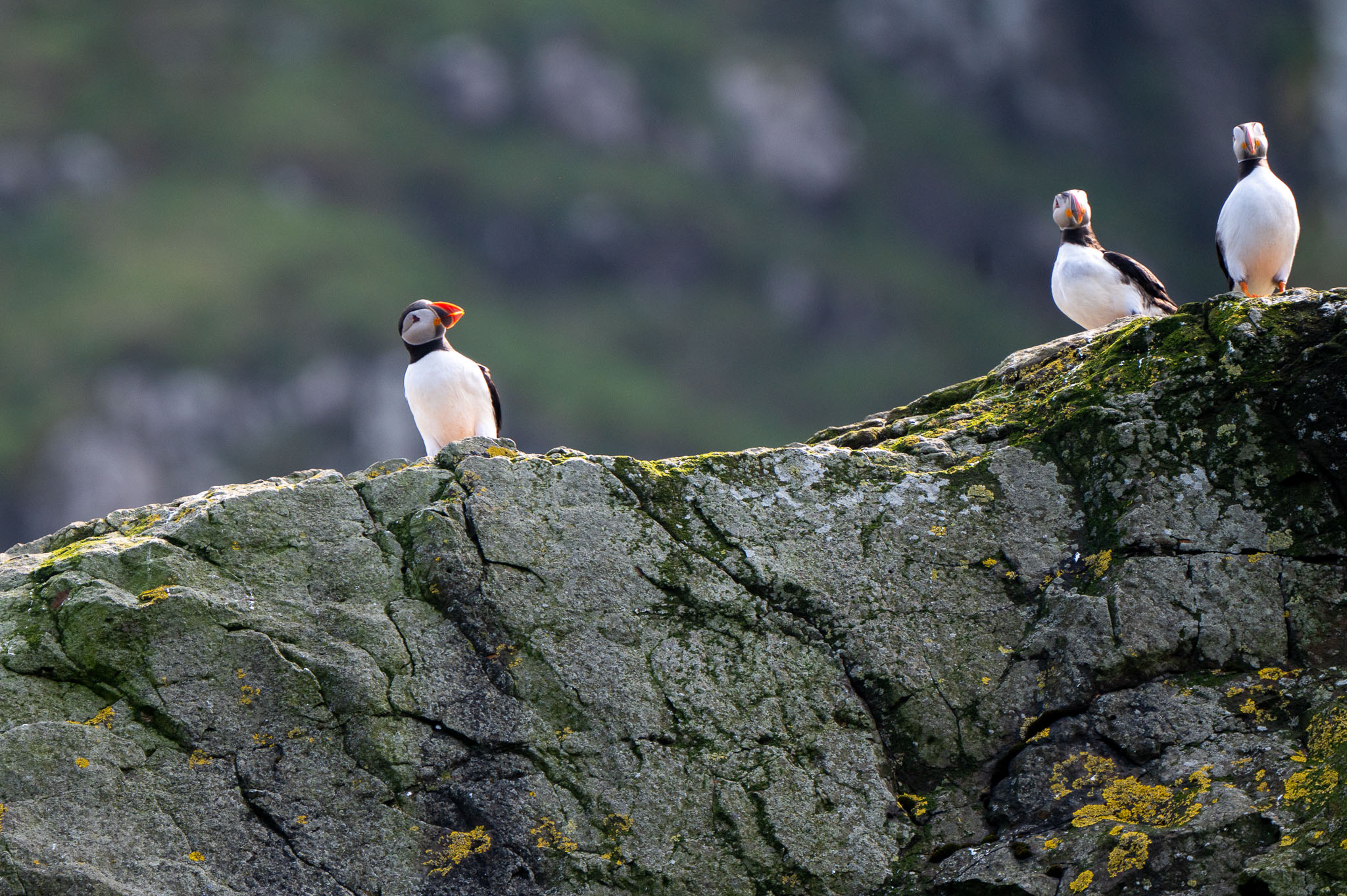 Skye-Glencoe-Fotoreis-Fotoreisshop-30